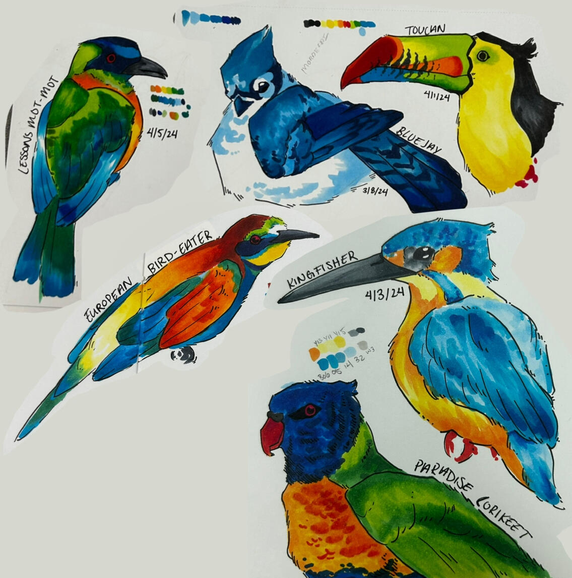 "marker birds" 2024 - Marker on Paper