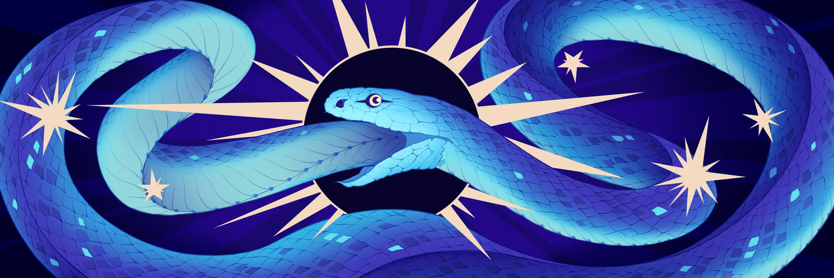 Ouroboros and the Unity of the Universe : 5"x15"