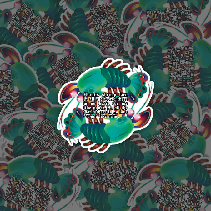 Mantis Shrimp Fact